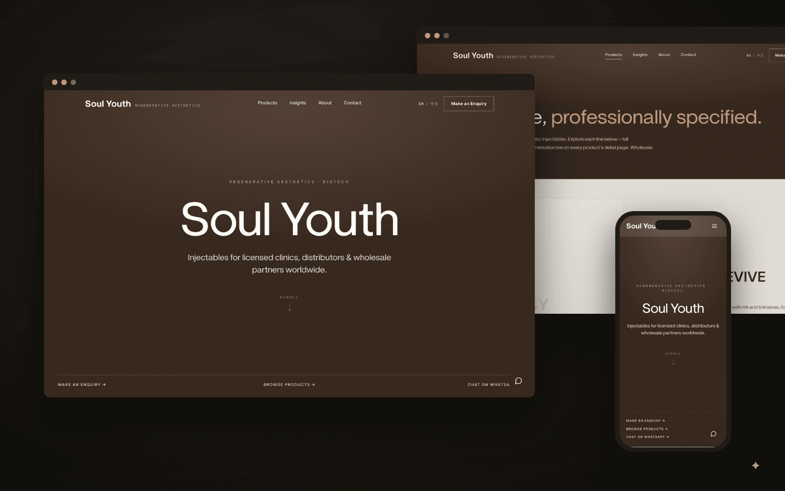 Aesthetics brand platform